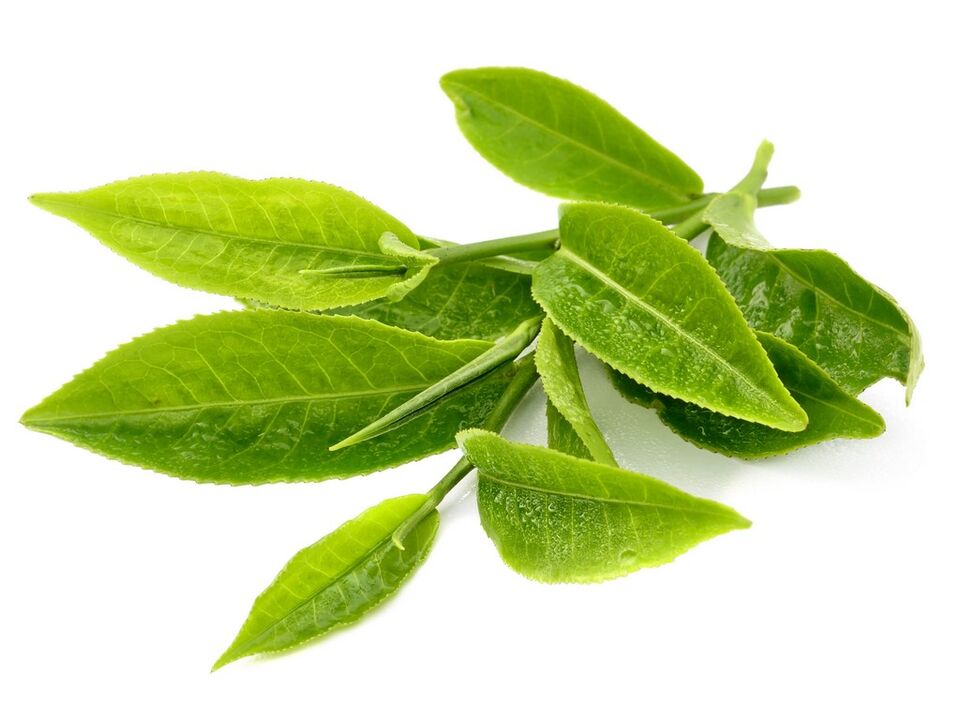 Keto Matcha green tea